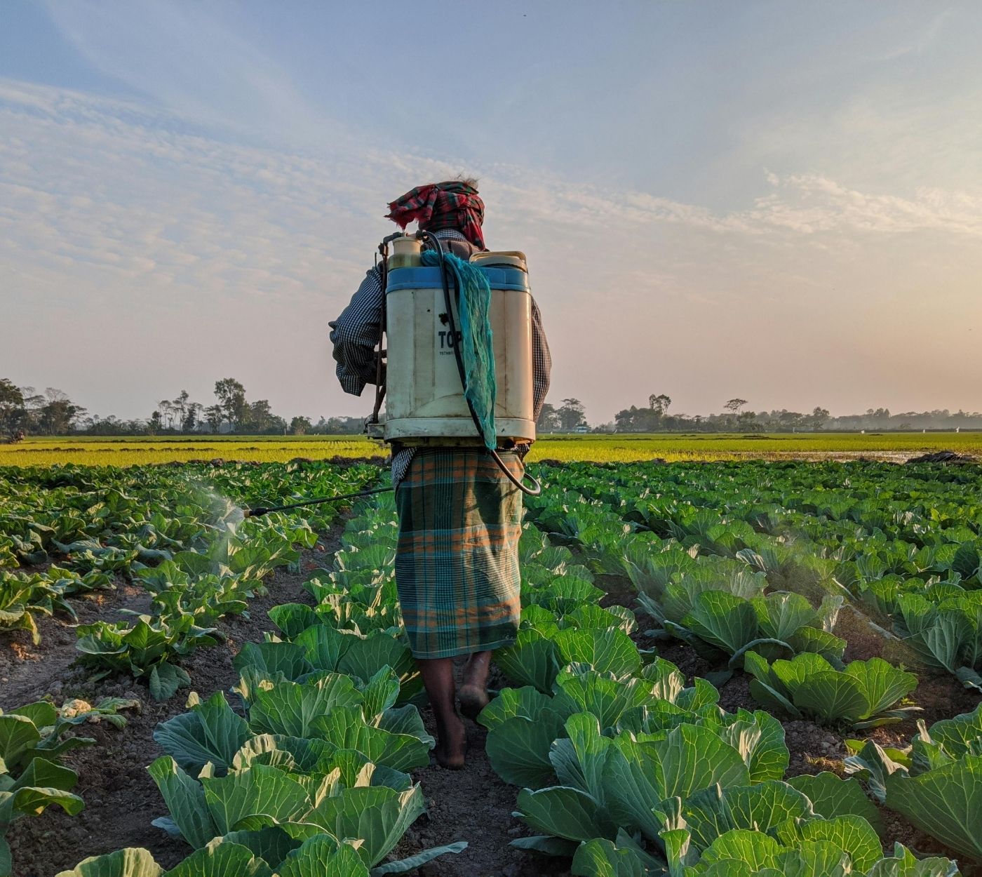 Farmer with agricultural fertilizer